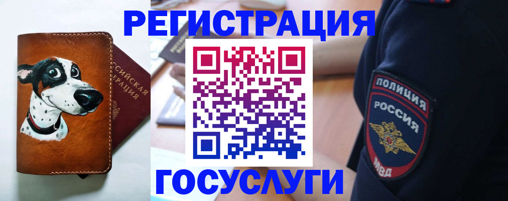 временная регистрация в квартире в Владимирской области